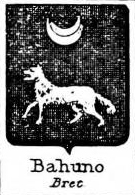 Bahuno Coat of Arms / Family Crest 0