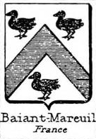 Baiant Coat of Arms / Family Crest 0