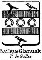 Bailey Coat of Arms / Family Crest 0