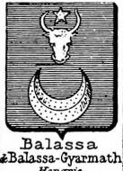 Balassa Coat of Arms / Family Crest 4