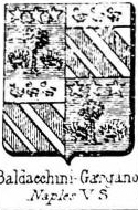 Baldacchini Coat of Arms / Family Crest 1