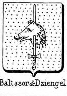 Baltasor Coat of Arms / Family Crest 0