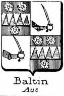 Baltin Coat of Arms / Family Crest 1