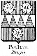 Baltin Coat of Arms / Family Crest 0