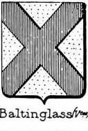 Baltinglass Coat of Arms / Family Crest 1