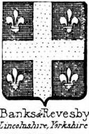 Banks Coat of Arms / Family Crest 1