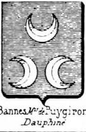 Bannes Coat of Arms / Family Crest 1