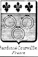 Bardini Coat of Arms / Family Crest 2