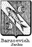 Barzoevich Coat of Arms / Family Crest 1