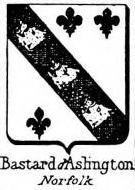 Bastard Coat of Arms / Family Crest 6