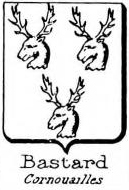 Bastard Coat of Arms / Family Crest 4