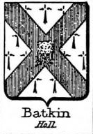 Batkin Coat of Arms / Family Crest 0