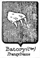 Batory Coat of Arms / Family Crest 0