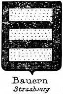 Bauern Coat of Arms / Family Crest 0