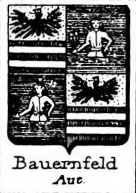 Bauernfeld Coat of Arms / Family Crest 0