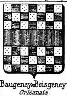 Baugency Coat of Arms / Family Crest 0
