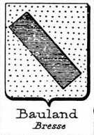 Bauland Coat of Arms / Family Crest 0