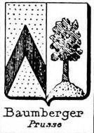 Baumberger Coat of Arms / Family Crest 2