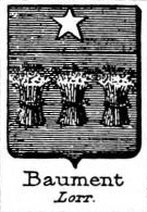 Baument Coat of Arms / Family Crest 0