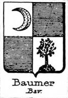 Baumer Coat of Arms / Family Crest 0