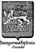 Baumgarten Coat of Arms / Family Crest 12
