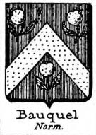 Bauquel Coat of Arms / Family Crest 0