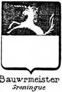 Bauwrmeister Coat of Arms / Family Crest 0