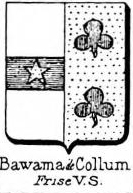 Bawama Coat of Arms / Family Crest 0