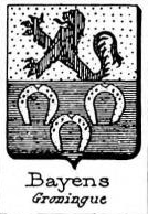 Bayens Coat of Arms / Family Crest 0