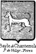 Bayle Coat of Arms / Family Crest 6