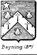 Bayning Coat of Arms / Family Crest 3