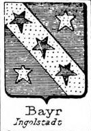 Bayr Coat of Arms / Family Crest 2