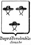 Bayr Coat of Arms / Family Crest 6