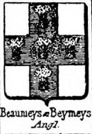 Beaumeys Coat of Arms / Family Crest 1