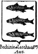 Bechinie Coat of Arms / Family Crest 0