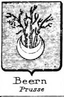 Beern Coat of Arms / Family Crest 0