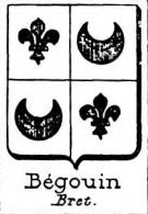 Begouin Coat of Arms / Family Crest 0