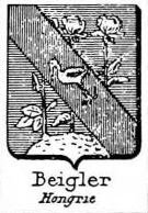 Beigler Coat of Arms / Family Crest 1