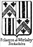 Belasyse Coat of Arms / Family Crest 2