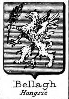 Bellagh Coat of Arms / Family Crest 0
