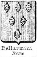 Bellarmini Coat of Arms / Family Crest 0