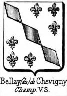 Bellay Coat of Arms / Family Crest 1