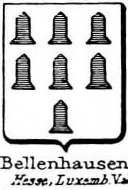 Bellenhausen Coat of Arms / Family Crest 0