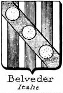 Belveder Coat of Arms / Family Crest 0