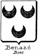 Benaze Coat of Arms / Family Crest 0