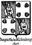 Benigni Coat of Arms / Family Crest 3