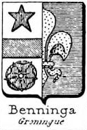 Benninga Coat of Arms / Family Crest 0