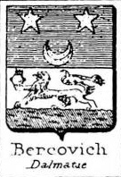 Bercovich Coat of Arms / Family Crest 0