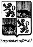 Bergenstein Coat of Arms / Family Crest 0