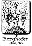 Berghofer Coat of Arms / Family Crest 1